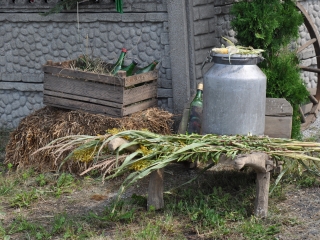 Dekoracje dożynkowe przed posesją