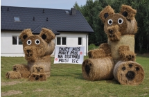 Bale słomy w kształcie misiów z napisem 