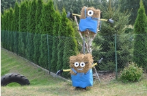 Kukły Minionków jako dekoracja posesji w trakcie dożynek