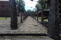 Ogrodzenie z drutu kolczatego w Obozie Auschwitz