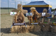 Wieńce dożynkowe pod sceną 
