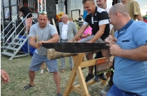 Dwoje mężczyzn tnących pniak piłą 