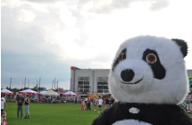 Miś panda na placu imprezy - Dni Malanowa 