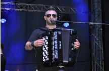 Akordeonista 