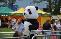 Wielka maskotka pandy na placu imprezy