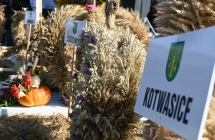 Wieniec dożynkowy 