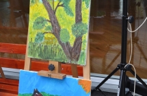 Plener Malarski 2013 (44)