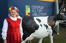 Uśmiechnięta kobieta przy sztucznej krowie 