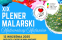Plener Malarski 2025 (3)