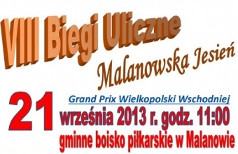 Plakt Biegi Uliczne 2013 (1)