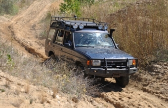 auto