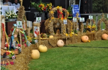 DSC_0176 (1)